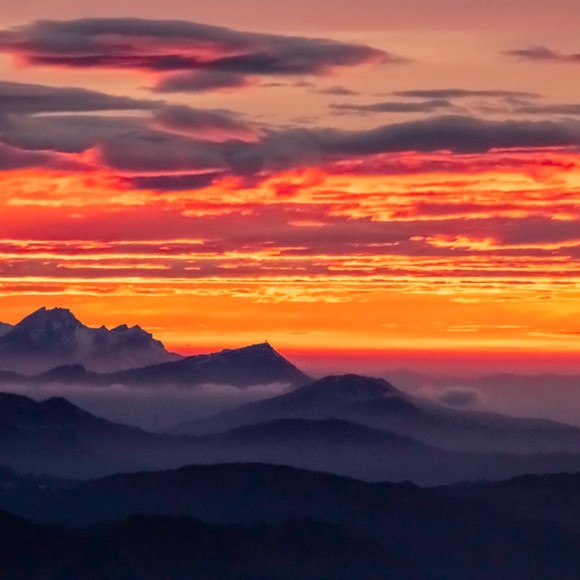 Meet your Posher, Lina - Picture 1 of 1